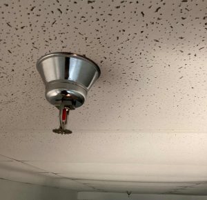 Fire Sprinkler Systems - header